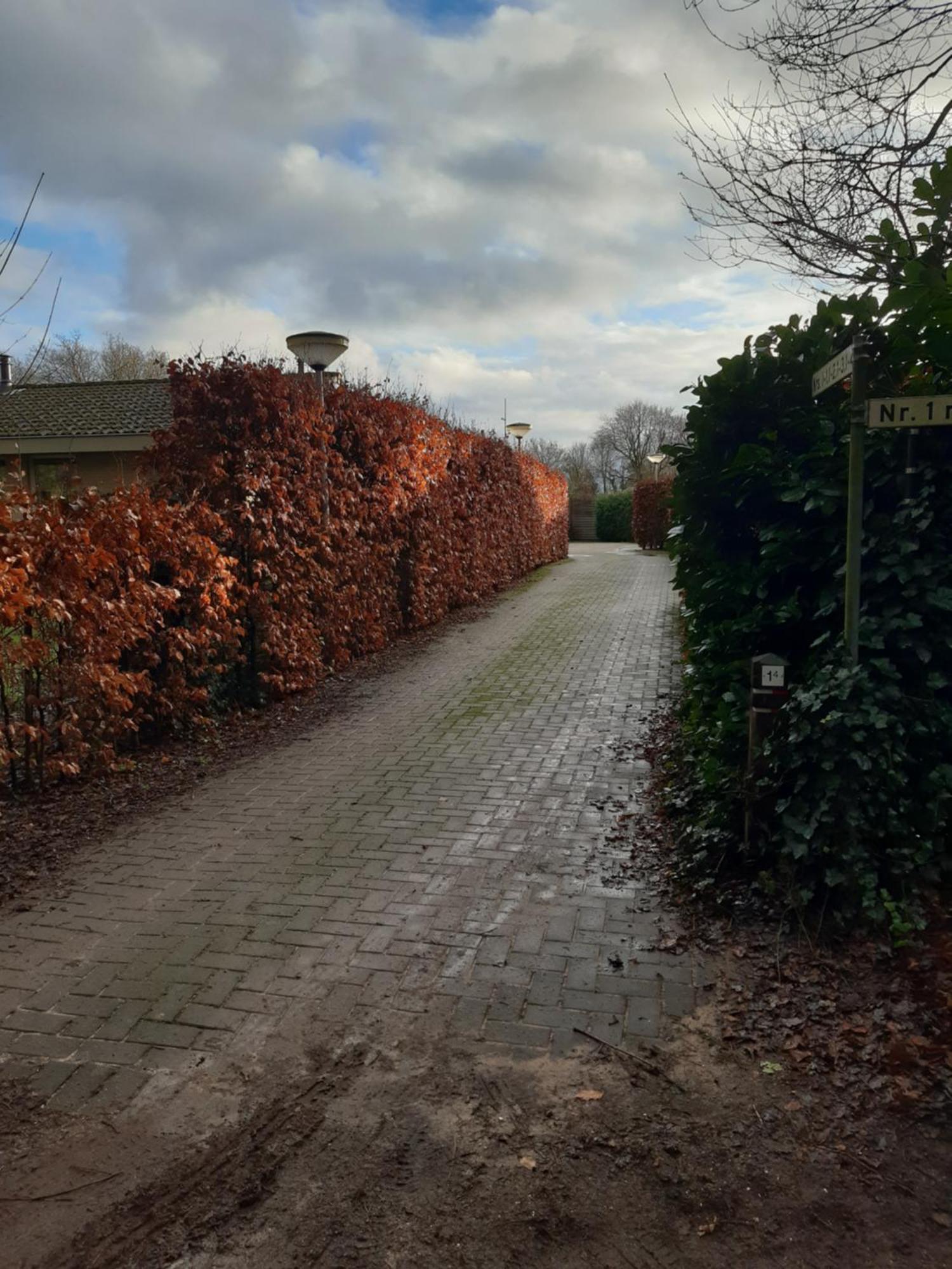 Huinerhofje 3 - Vrijstaand, Grote Tuin, Rust En Veel Privacy Nabij Uitgestrekte Bossen Villa Putten Exterior foto